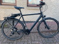 E-Bike Rabeneick TC-E Deore XT 10-Gang / Bafang / 252Wh / NEU Schleswig-Holstein - Wilster Vorschau