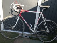 Rennrad BENOTTO Modelo 800 weiß/rot Size 60cm Sachsen-Anhalt - Halle Vorschau