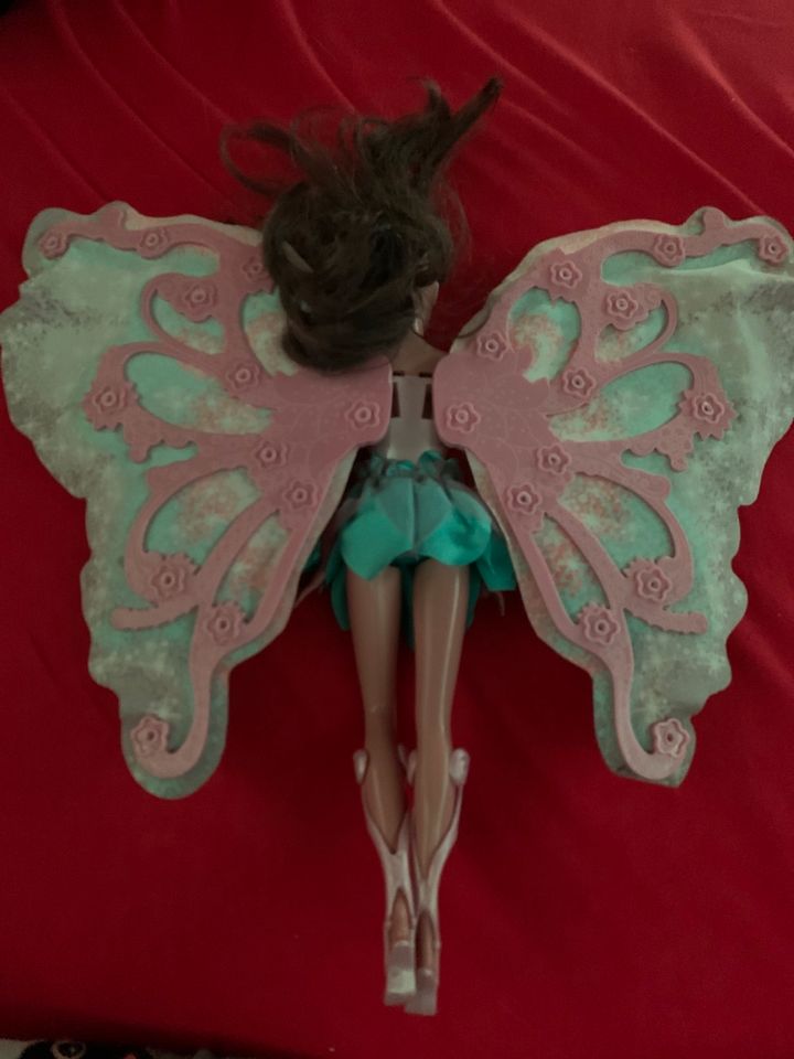 Barbie von Barbie mariposa in Borken