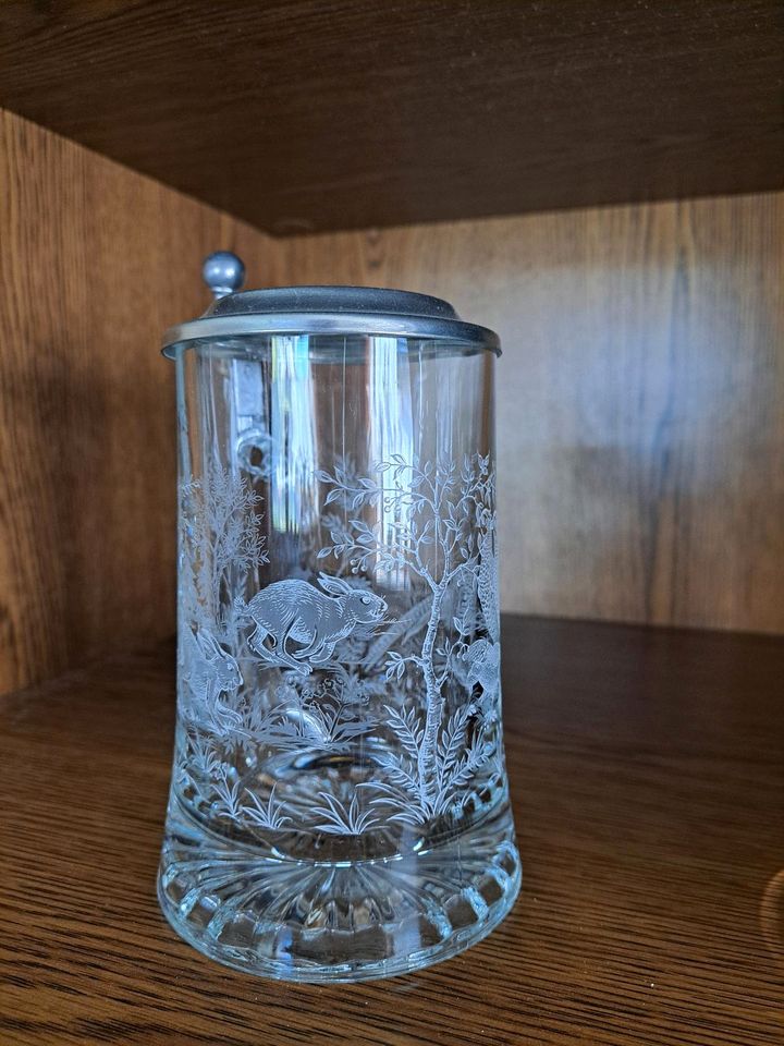 Bierkrüge aus Stein und Glas mit Deckel in Dischingen