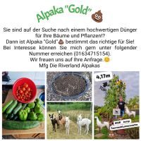 Alpakagold Dünger Mist Alpakakacka Dung Sachsen-Anhalt - Halle Vorschau