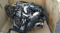 Motor Audi Q7 4.2 TDI CCF CCFA 340PS V8 KOMPLETT Rheinland-Pfalz - Waldalgesheim Vorschau