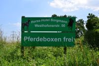 Pferdeboxen frei ab 01.07/01.08 Nordrhein-Westfalen - Hagen Vorschau