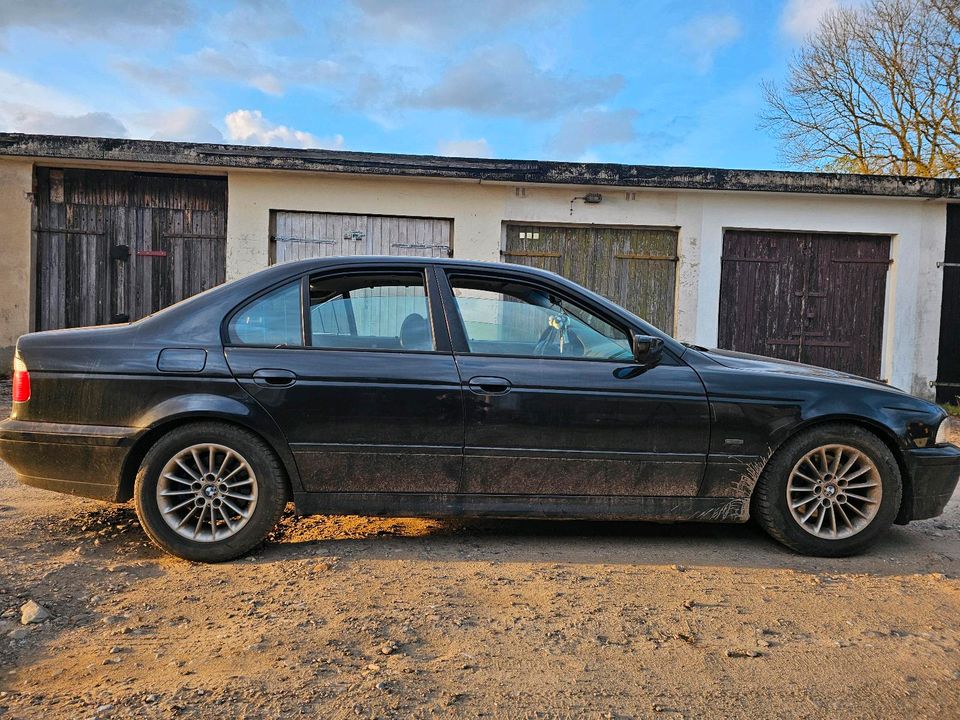 BMW E39 530i Automatik Schlachtfest/ zum Aufbau in Parchim