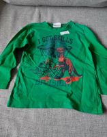 Pullover Pulli Jungen 110 grün dinos Topolino Nordrhein-Westfalen - Wesel Vorschau