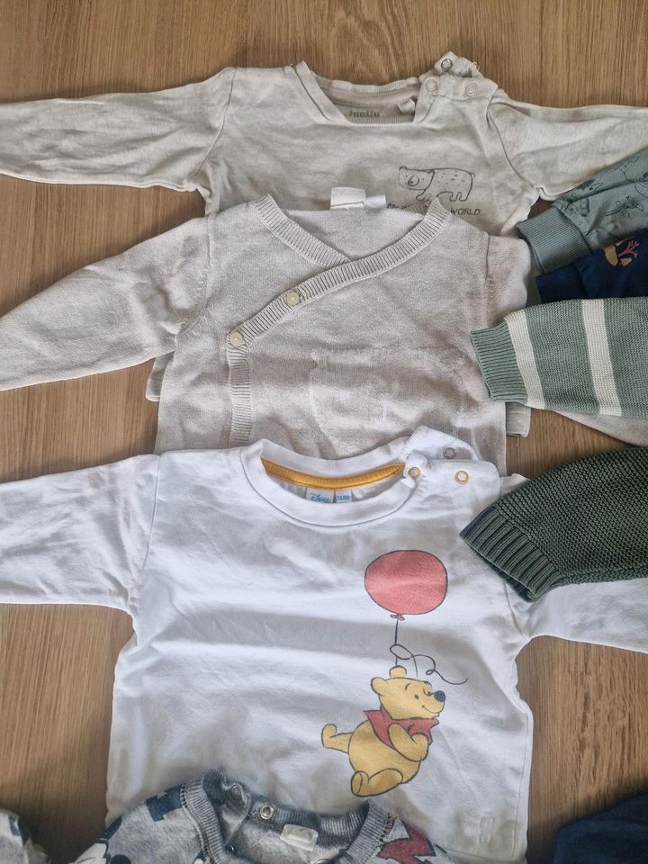 14 Langarm Shirts und Pullover in Fredenbeck