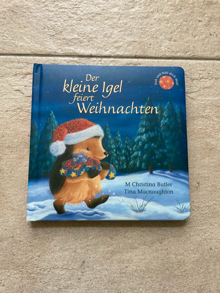 Der kleine Igel feiert Weihnachten in Dollern