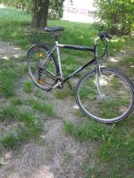 Fahrrad verkaufen große 28 Mecklenburg-Vorpommern - Wismar Vorschau