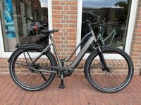 Cortina Shimano Mittelmotor E-Bike Elektro Fahrrad 500 Wh Nordrhein-Westfalen - Goch Vorschau