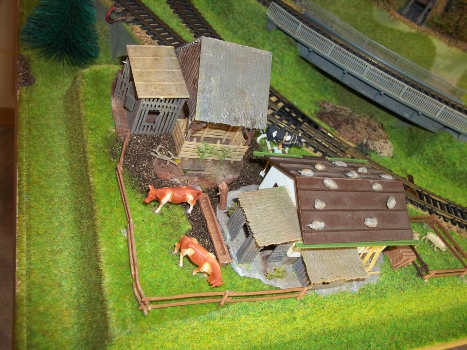 Modelleisenbahn Fertiggelände Noch H0 digital Eisenbahn z21 ROCO in Niederaula