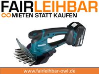 ⭐mieten⭐ Makita Akku-Grasschere / Strauchschere DUM 604 Nordrhein-Westfalen - Leopoldshöhe Vorschau