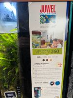 Aquarium Juwel Vision 260 - mit Unterschrank und Zubehör & Fische Münster (Westfalen) - Wolbeck Vorschau