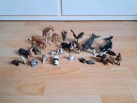 21 x Schleich / Bullyland Tiere, verschiedene Größen Eimsbüttel - Hamburg Niendorf Vorschau