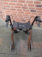 Rollator Taima Diets Nordrhein-Westfalen - Baesweiler Vorschau