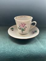 Kaffeetasse mit Untertasse Alpenveilchen Porzellan Kahla DDR Sachsen - Malschwitz Vorschau