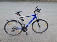 Bulls Bike Fahrrad Cross Bike 60er Rahmen Bayern - Baunach Vorschau