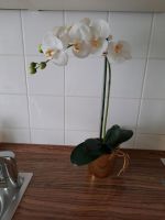 Orchidee künstlich im goldenen Topf Bayern - Augsburg Vorschau
