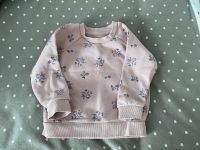 Pullover in Rosa gr. 80 Nordrhein-Westfalen - Gladbeck Vorschau