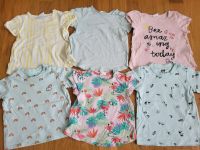 6x T-Shirt Mädchen H&M Gr 74 Regenbogen Bienen Flamingo Schleswig-Holstein - Ahrensburg Vorschau