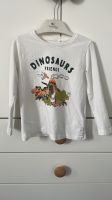 Langarmshirt Größe 98 Name it Dinos Rheinland-Pfalz - Budenheim Vorschau