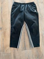 Adidas-Jogginghose, Gr.XL Baden-Württemberg - Nordheim Vorschau