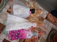Barbie Puppen Niedersachsen - Schneverdingen Vorschau