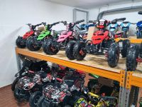 Elektro Quad Repti Eco mini Quad 800W 36V 6 Zoll Kinderquad Atv Rheinland-Pfalz - Bad Breisig  Vorschau