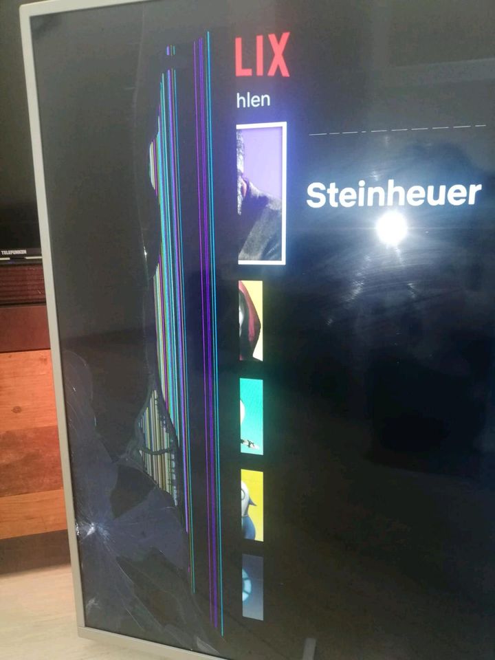 Philips 65 Zoll LCD TV Fernseher Display Bruch in Solingen