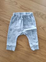 Baby Hosen / Jogginghosen Gr 68 Bayern - Walderbach Vorschau