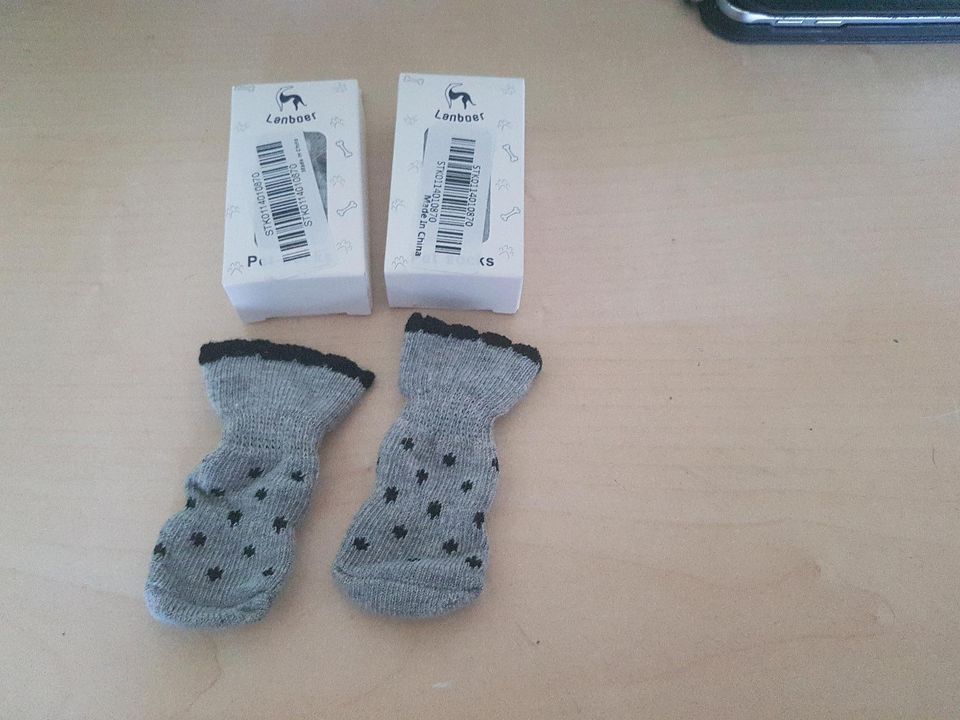 Katzensocken in Greiz