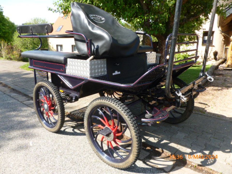 Kutsche, Marthonwagen, Ein-Zweispänner in Nohfelden