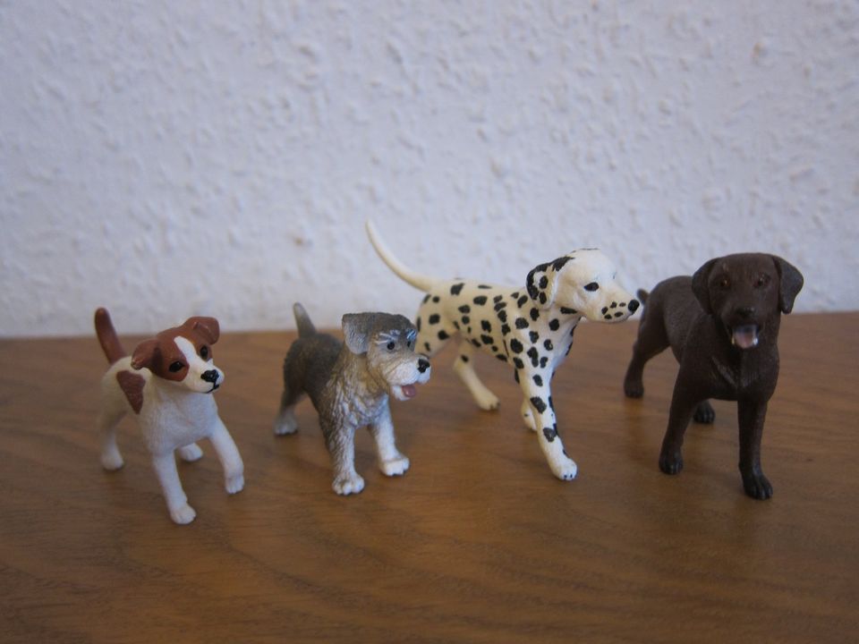 Schleich Set 41422 42478 42361Farm world Fohlen Hunde Bauernhof in Jülich