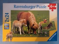 Puzzle ab 3 Jahre. Puzzle ab 4 Jahre Rheinland-Pfalz - Mackenbach Vorschau