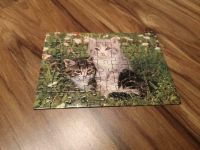 Katzen puzzle montessori Nordrhein-Westfalen - Siegburg Vorschau