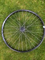 Vorderrad Disc Rennrad Gravel 28“ / 700C / 622x20 Rheinland-Pfalz - Dirmstein Vorschau