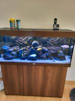240 l Aquarium Juwel Rio mit Unterschrank und 2 Außenfiltern Berlin - Zehlendorf Vorschau