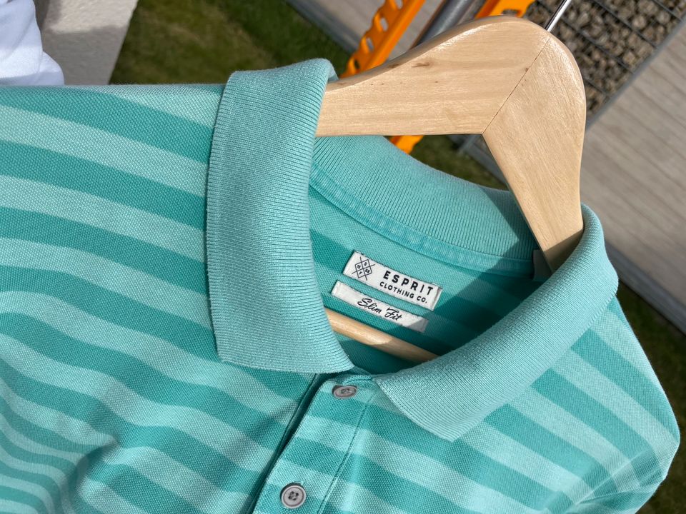 Herren-Poloshirt ESPRIT in Beilngries