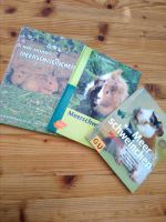 Meerschweinchen Ratgeber Bücher Niedersachsen - Königslutter am Elm Vorschau