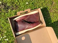 NEU VERPACKT Red Wing Work Chukka 3141 US 10 EU 43 Neuhausen-Nymphenburg - Neuhausen Vorschau