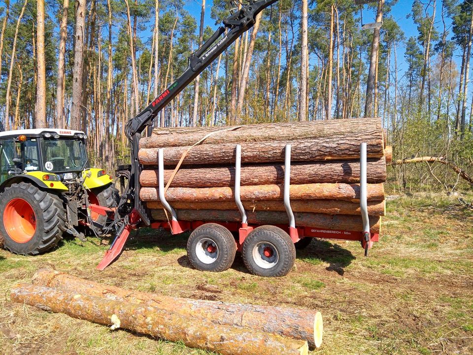 Forstdienstleistungen im Nebenerwerb in Blumberg