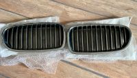 BMW F10, F11 5er, Links Rechts, Niere Frontgrill Kühlergrill Berlin - Spandau Vorschau