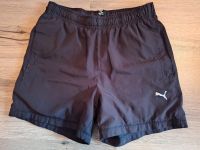 Puma Shorts (152) Nordrhein-Westfalen - Much Vorschau