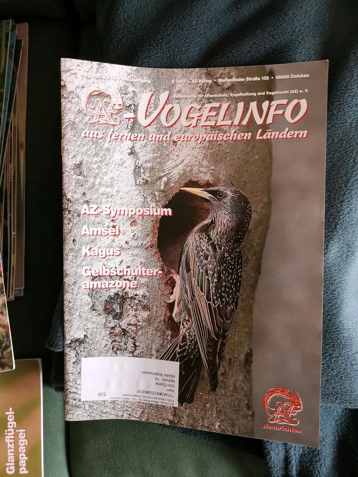 AZ - Nachrichten ( Vogelinfo) in Walshausen bei Zweibrücken, Pfalz