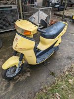 Simson SRA 50 Star Roller Moped 800km Laufleistung Sachsen - Oelsnitz/Erzgeb. Vorschau