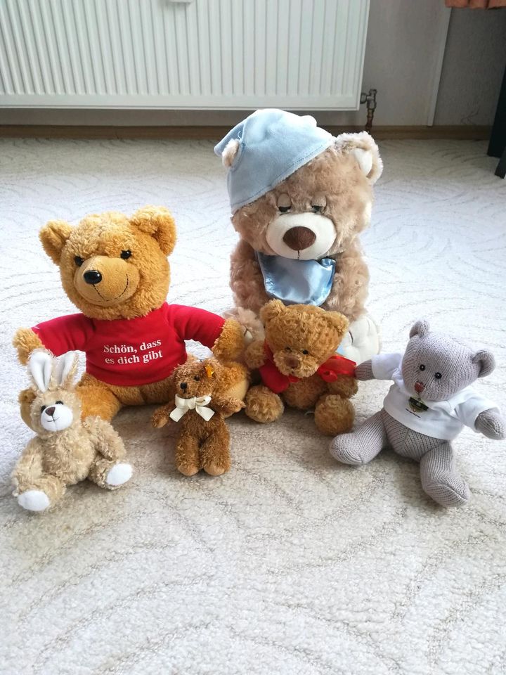 Teddy Sammlung in Hamburg