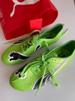 Puma Sportschuhe Nürnberg (Mittelfr) - Aussenstadt-Sued Vorschau