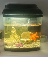 Kleines Aquarium Nordrhein-Westfalen - Gronau (Westfalen) Vorschau