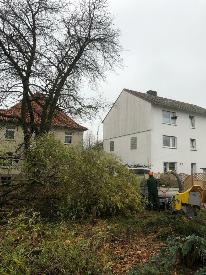 Andrej Siemens Garten- und Landschaftsbau in Bielefeld