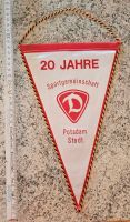 SG Dynamo Potsdam Stadt 20 Jahre Sportwimpel Brandenburg - Ludwigsfelde Vorschau