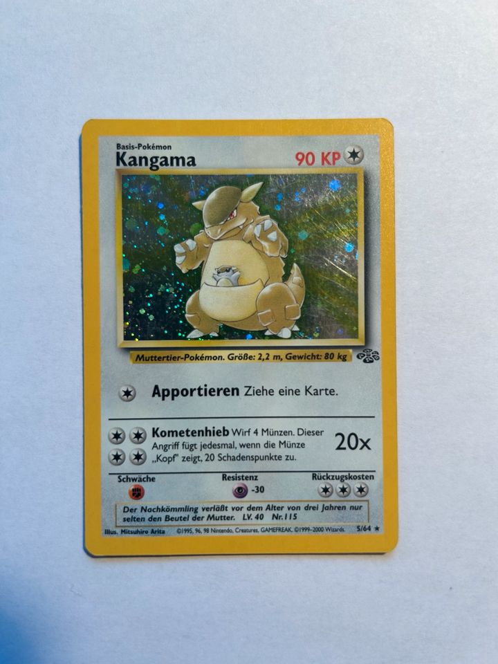 Pokémon Karten Holo Sammlung in Dormagen